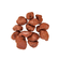 drageadodeameixasecachoco70agranel
